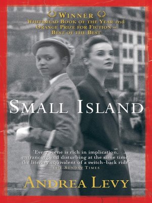 cover image of Small Island